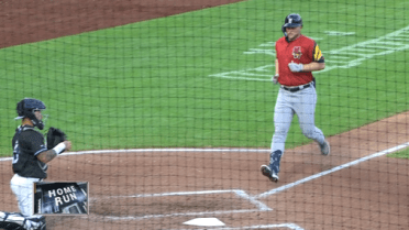 Meadows goes yard in rehab game with Toledo