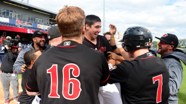 McBride's Walk-Off Blast Gives Sounds Dramatic Win