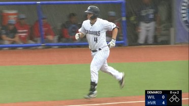 Yanks' DeMarco hits 10th homer for Renegades