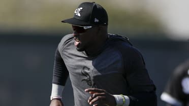 Prospects in the White Sox 2020 player pool