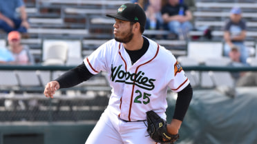 Former DEWD Ricardo Rodriguez Called Up to the Majors