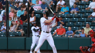 Switch-hitting outfielder Bryce Johnson sparks Flying Squirrels' offense with breakout season