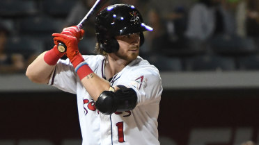 Rodgers plates four runs in Isotopes' 14-8 loss