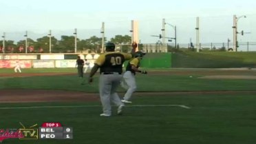 Snappers' Loehr drums RBI double