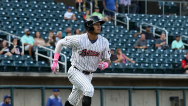 Barons End Home Slate With Wild Walk-Off