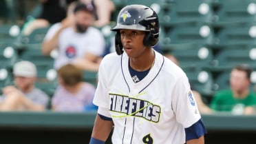 Fireflies Avoid No-No with 7th Inning Single