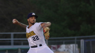 Bees Quieted by Snappers in 8-3 Loss