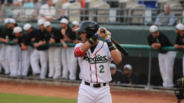 Wood Ducks Rally to Top the Hillcats