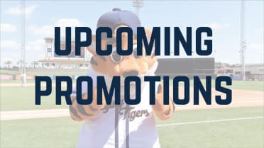 Lakeland Flying Tigers | MiLB.com
