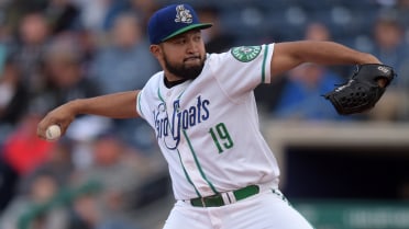 Yard Goats' Garcia proves unhittable