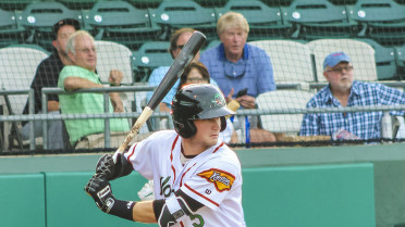 Wood Ducks Blow Out Dash in Series Finale