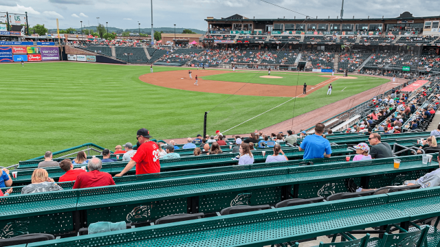 ironpigs | IronPigs