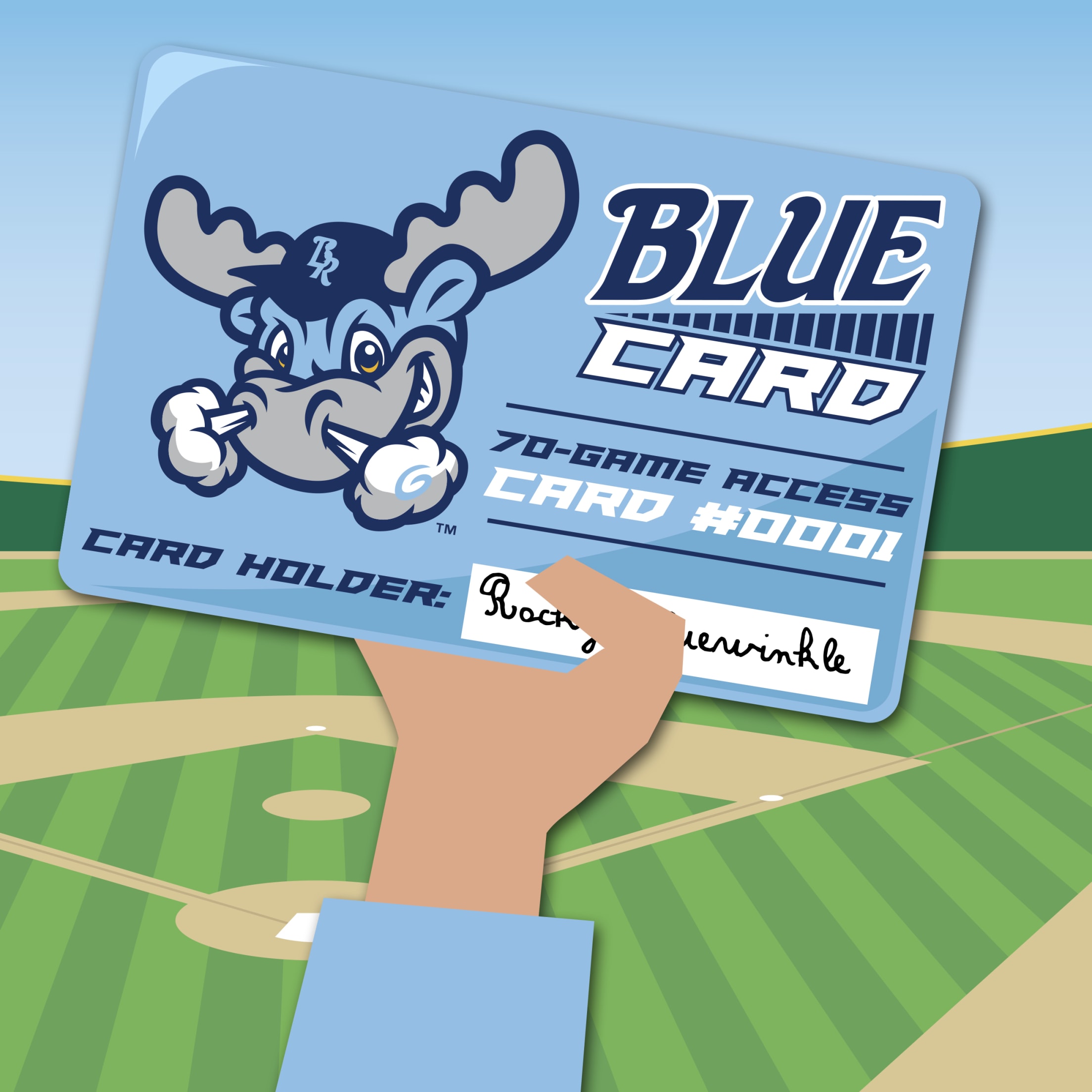 Wilmington Blue Rocks Blue Card Memberships Blue Rocks