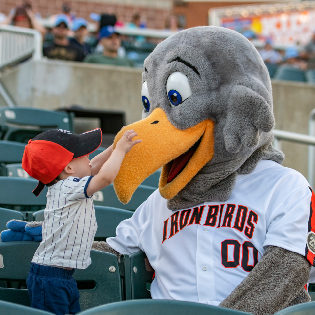 IronBirds Donation Request Guidelines IronBirds