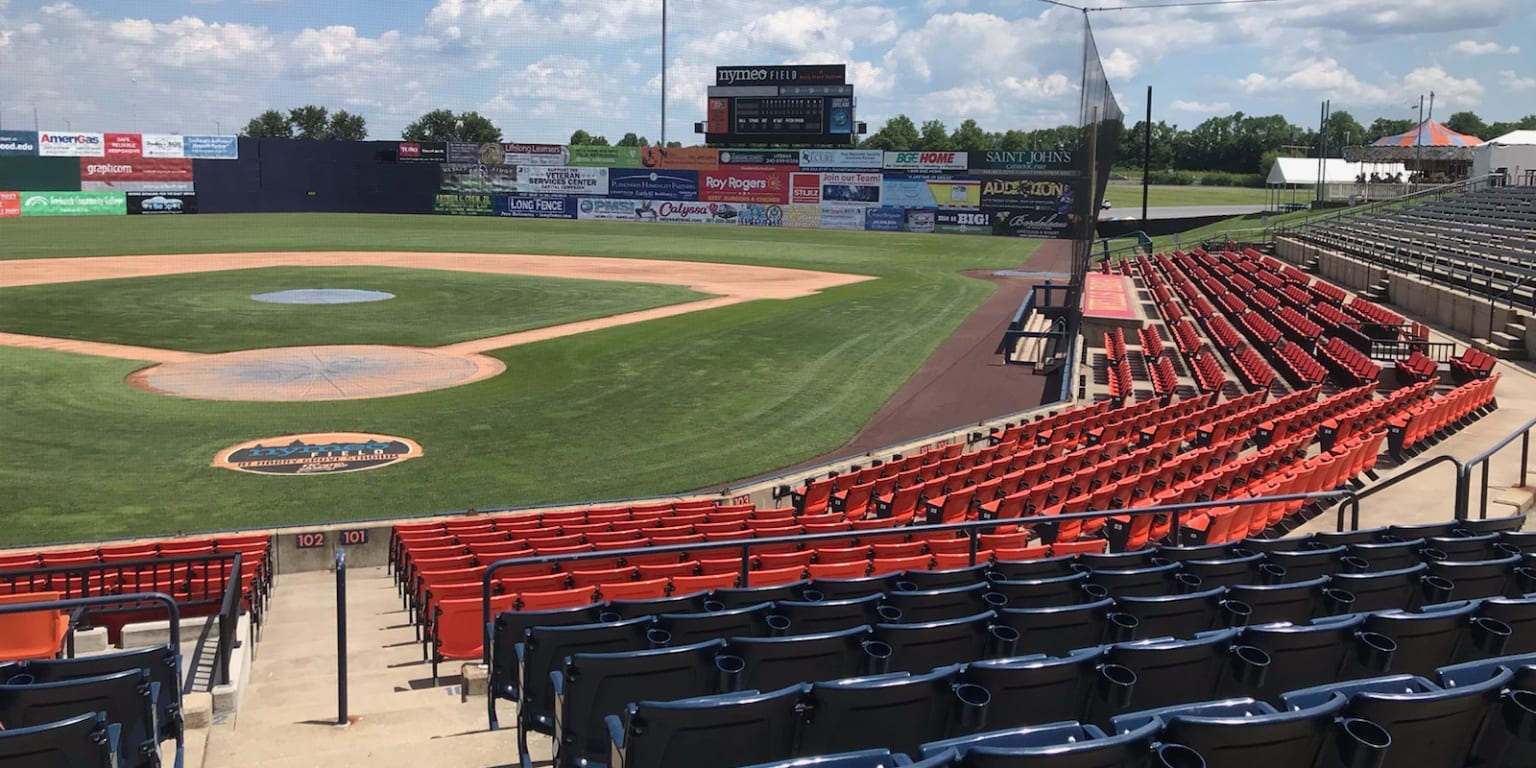 2020 Minor League Baseball season shelved