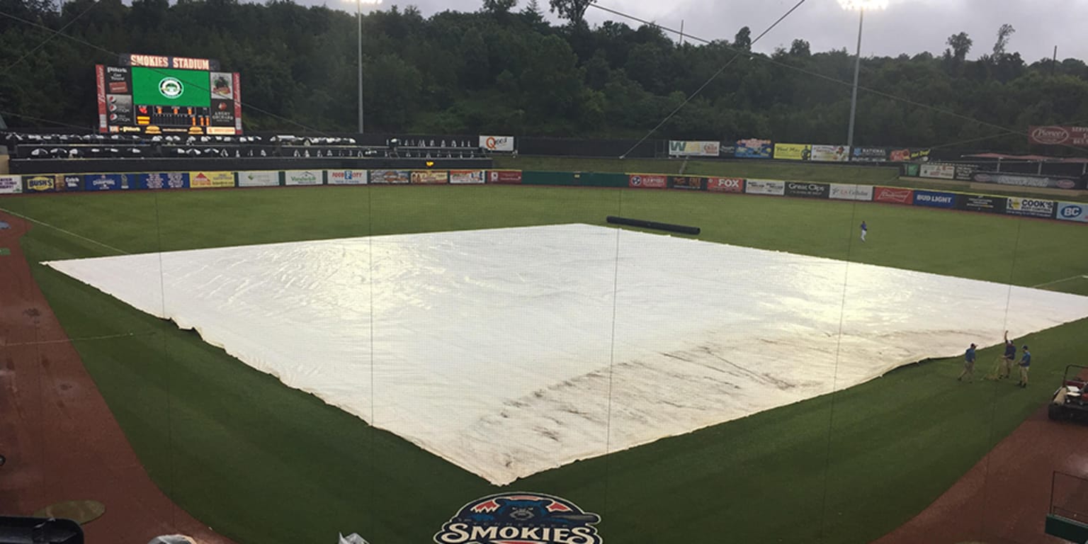 are dogs allowed at smokies stadium