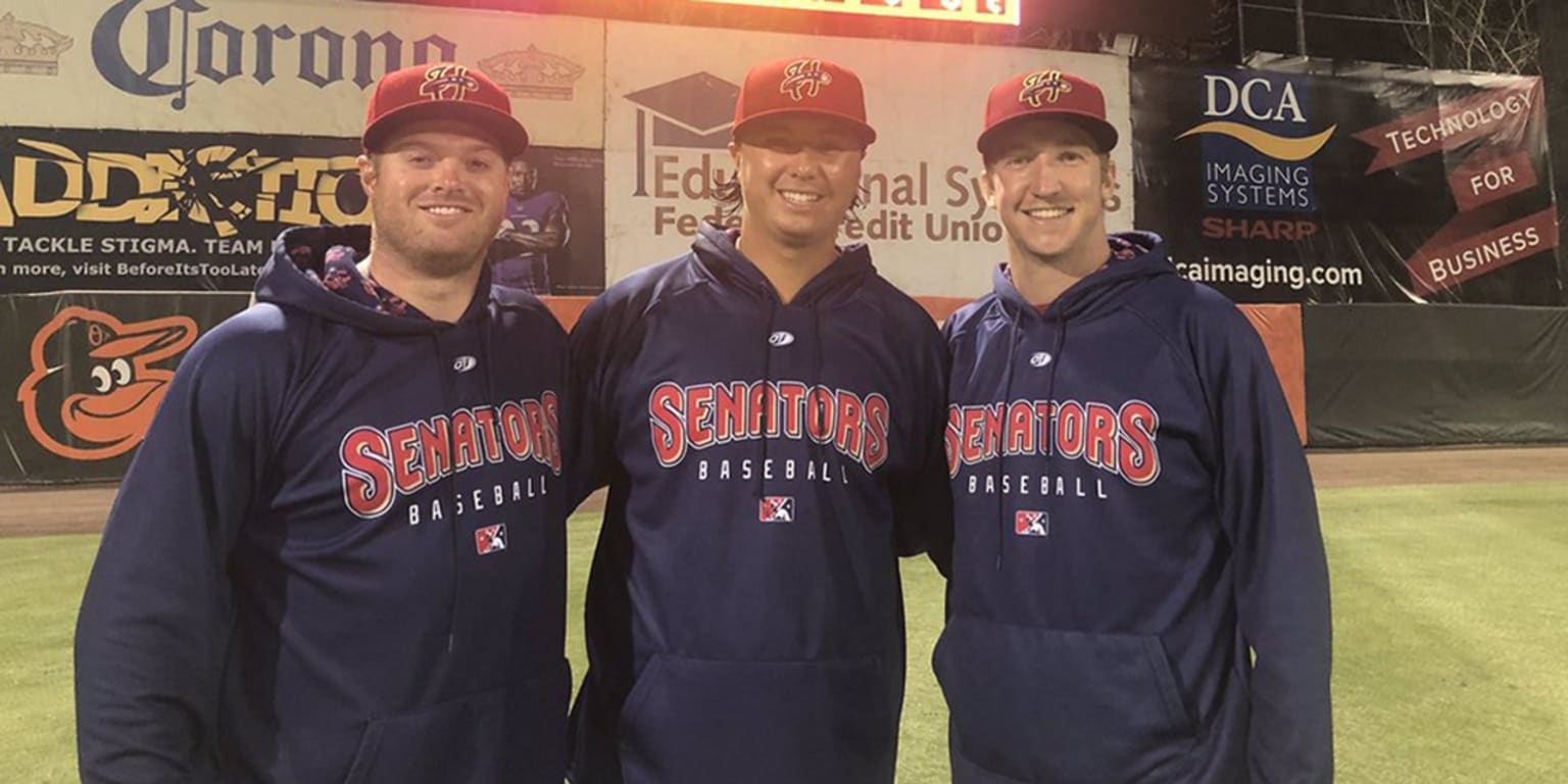 Erick Fedde anchors Harrisburg Senators' combined nohitter