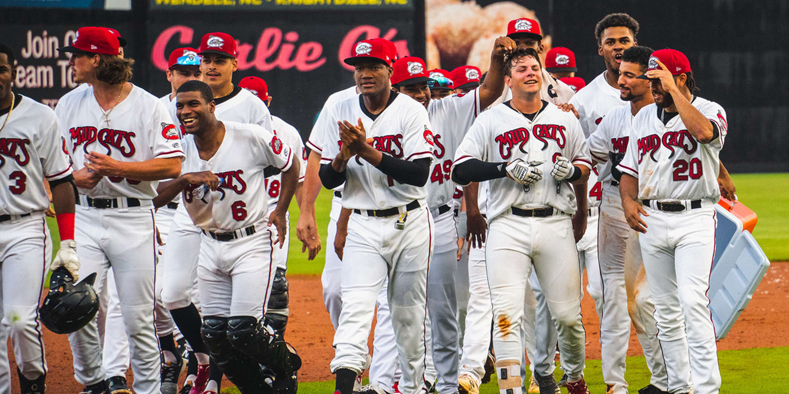 Mudcats and Wood Ducks Split Doubleheader