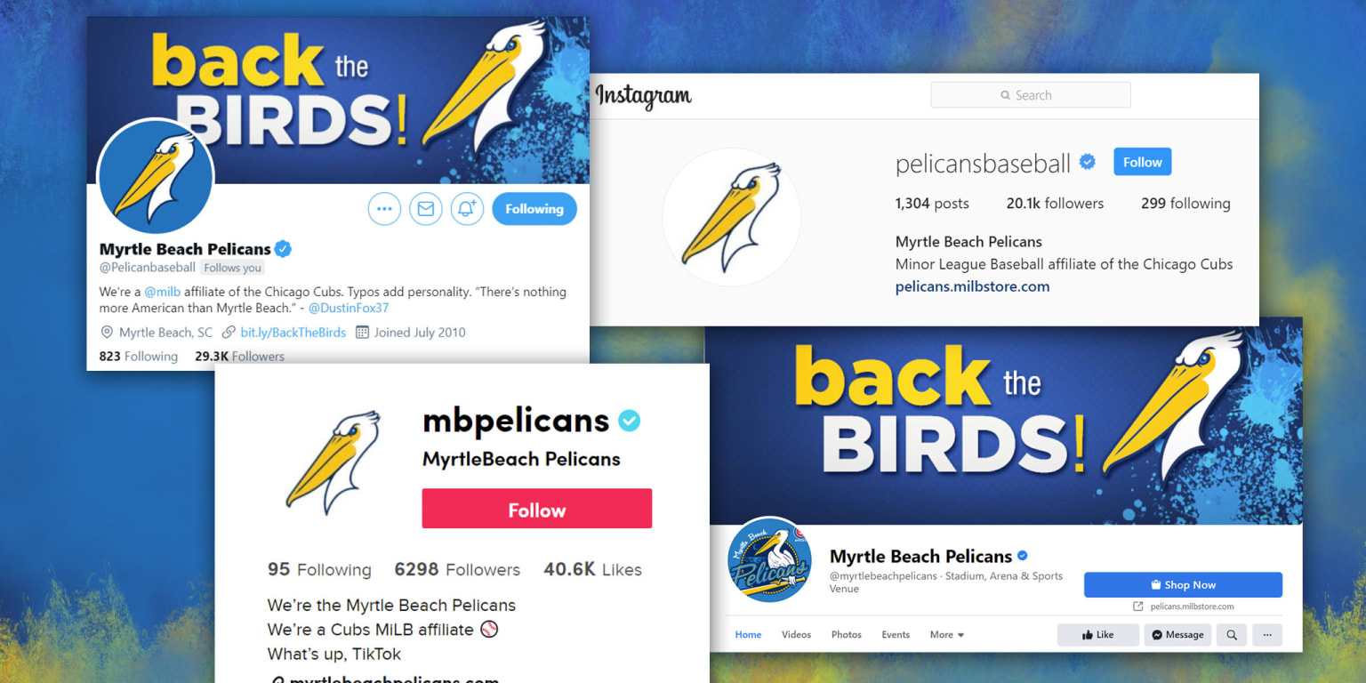 Pelicans' social media more than biding time - Vimarsana News