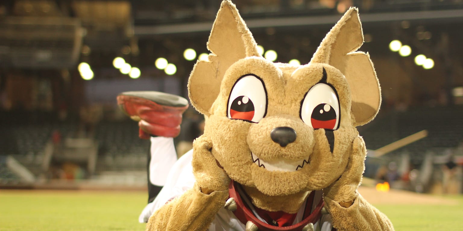 El Paso Chihuahuas on X: Book Chico for your special event and