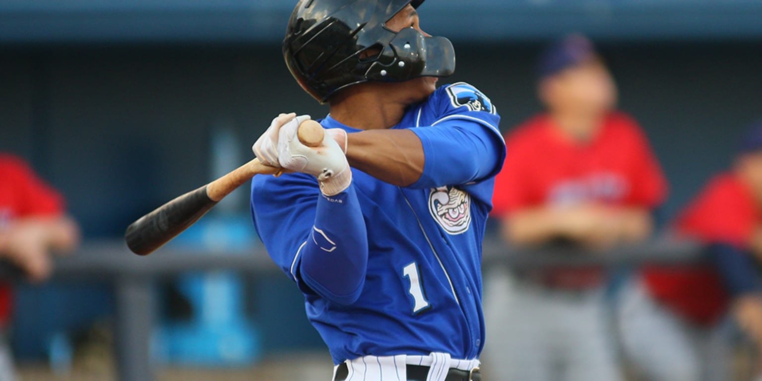 Milwaukee Brewers' Corey Ray homers twice in first four-hit game | MiLB.com