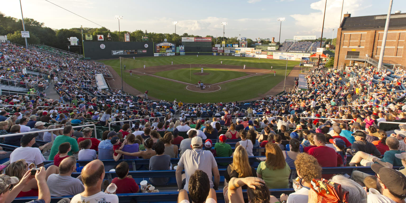 New mascot debuts before Portland Sea Dogs game