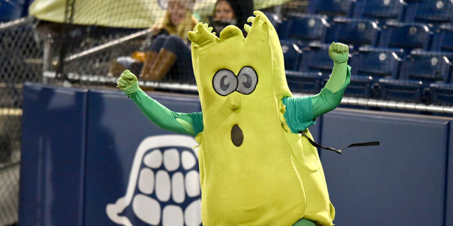 15 most bizarre minor-league baseball mascots in America