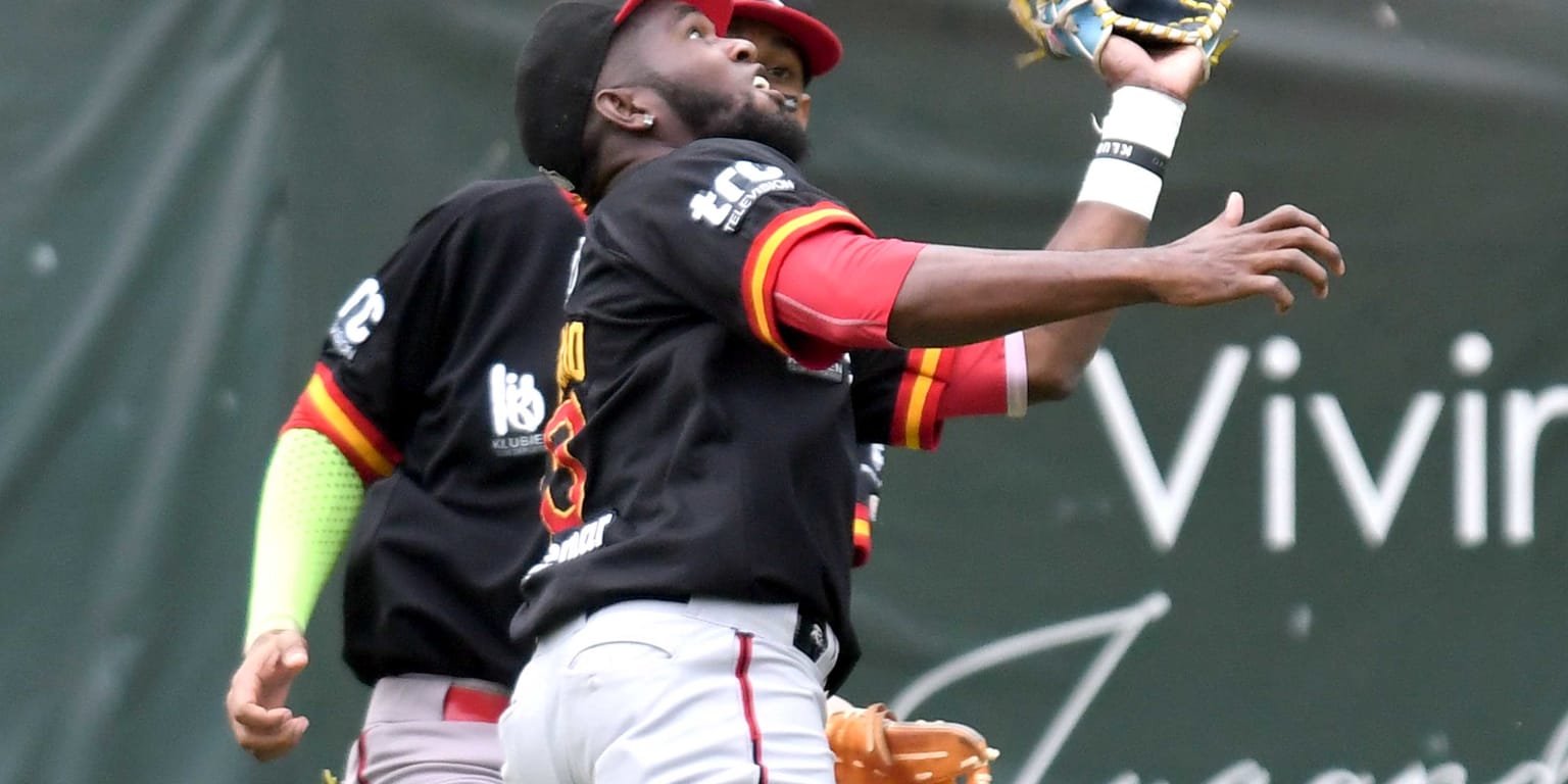 Tigres Olmo Rosario se une al Equipo que Nació Campeón