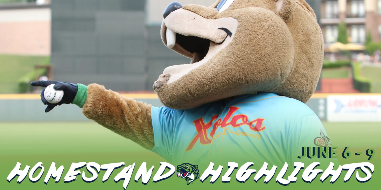 Homestand Highlights: Stripers Celebrate Pride Night, Father's Day, and  Juneteenth