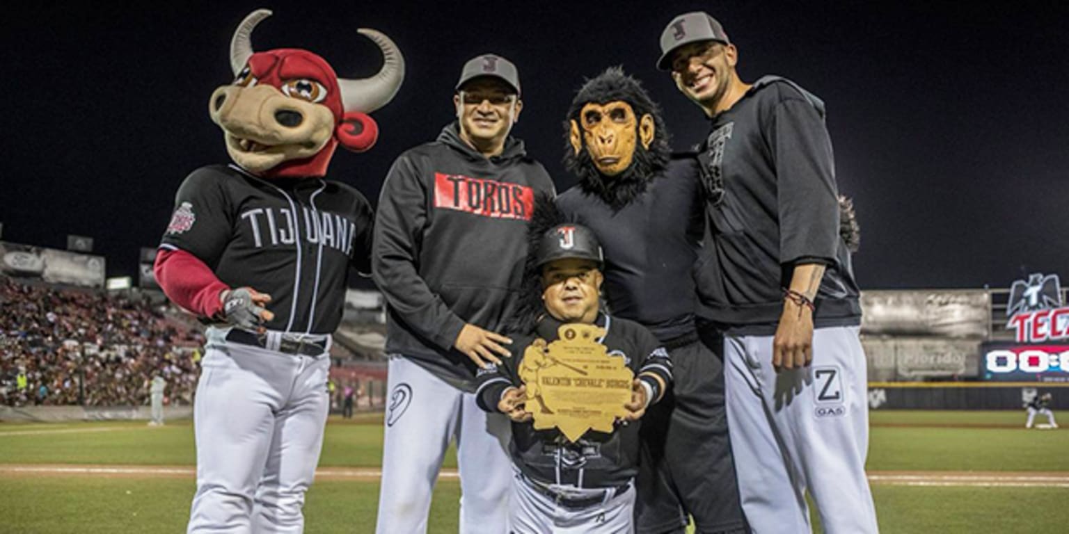 Descubrir 70+ imagen club de béisbol toros de tijuana Abzlocal.mx