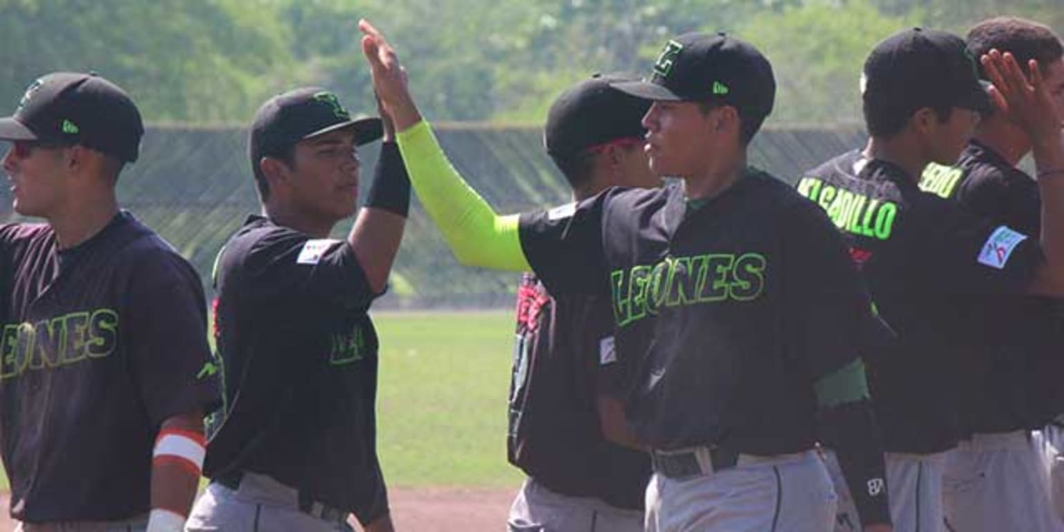 Actividad de la Liga Rookie 2017