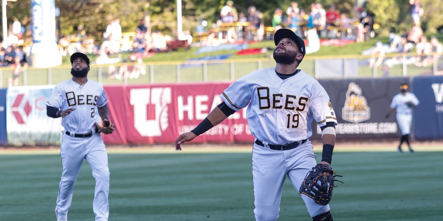 Salt Lake Bees Second Homestand Begins Tuesday