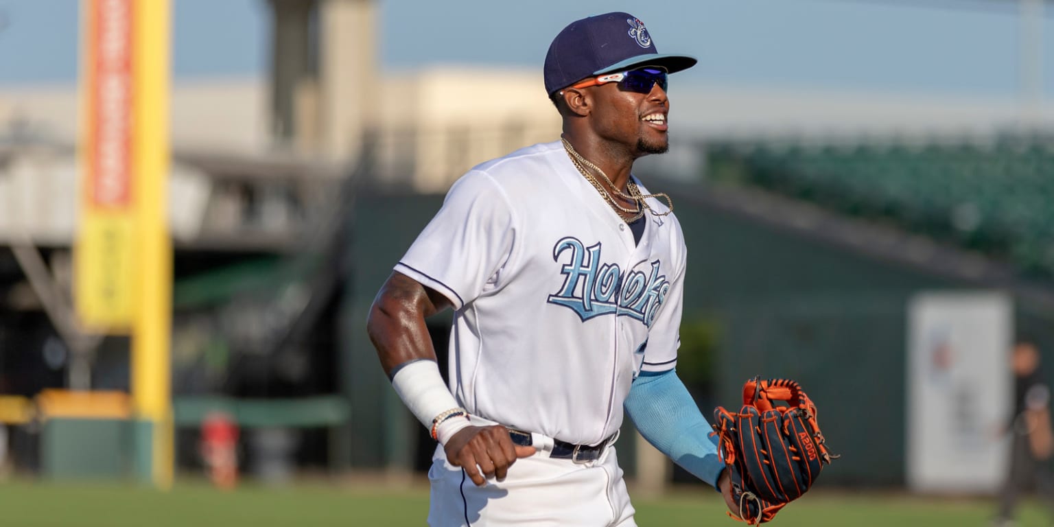 Catch a fly ball at a Corpus Christi Hooks game