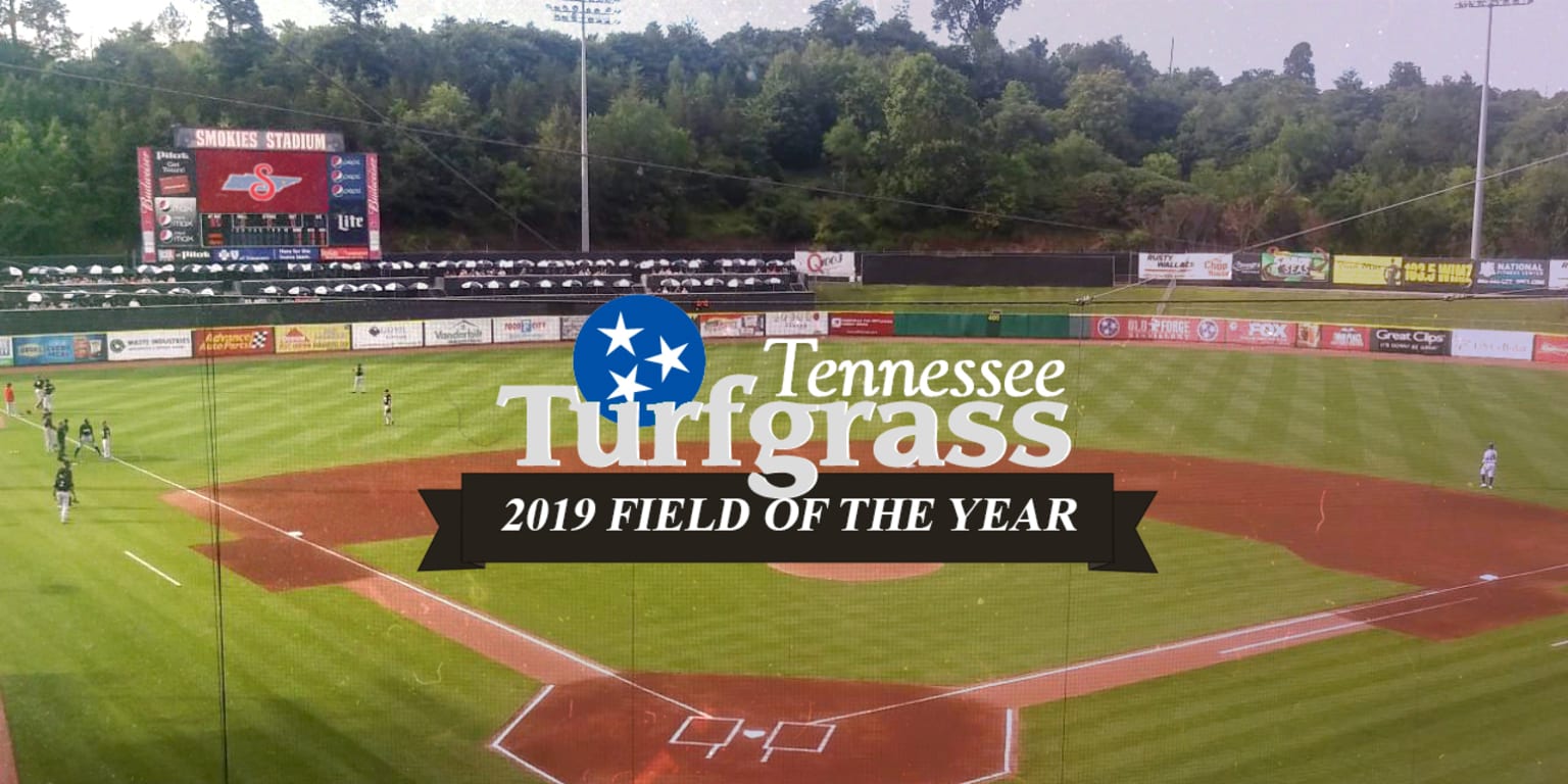 Tennessee Smokies baseball through the years