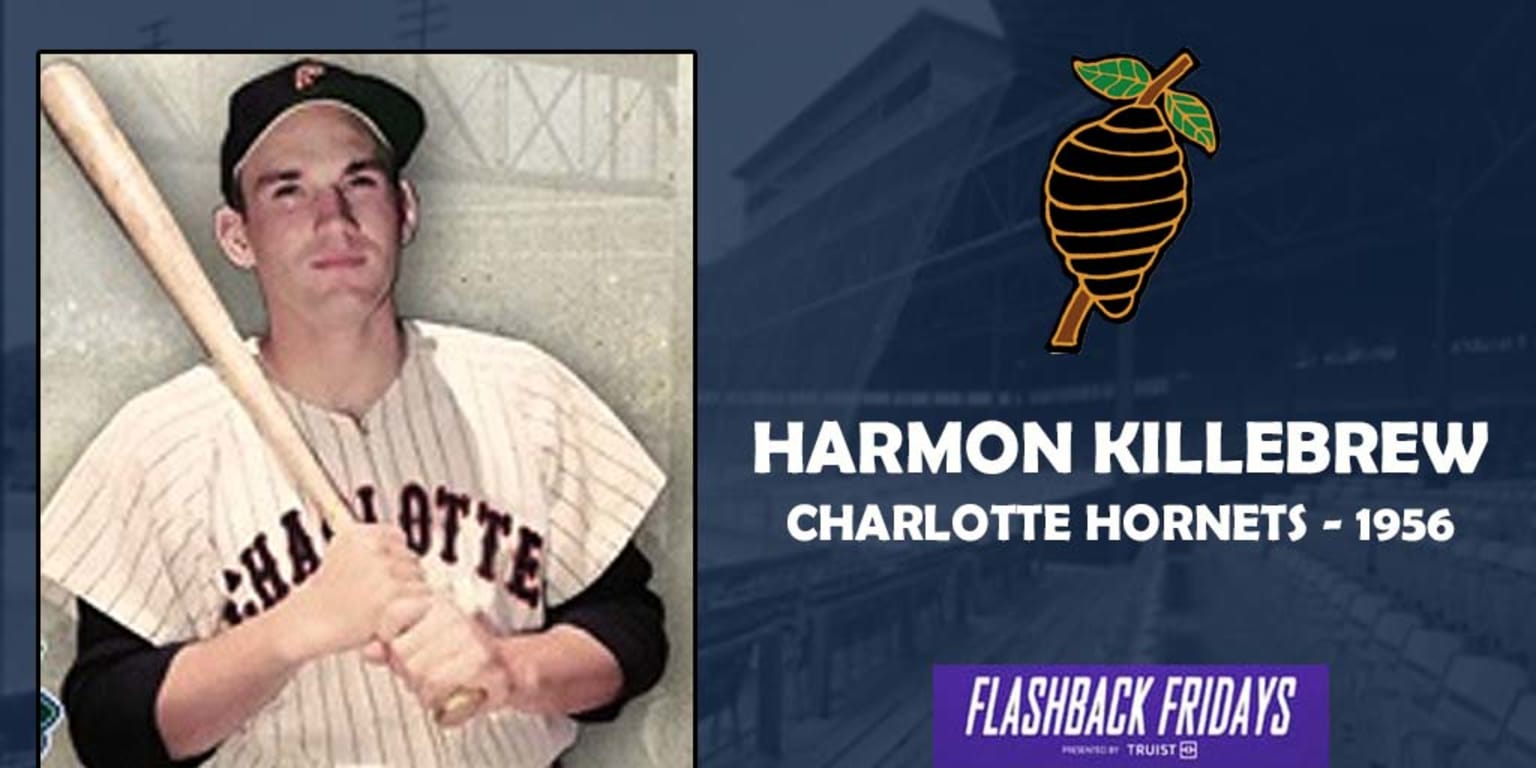 Harmon Killebrew Home Run Swing - Hall of Fame 