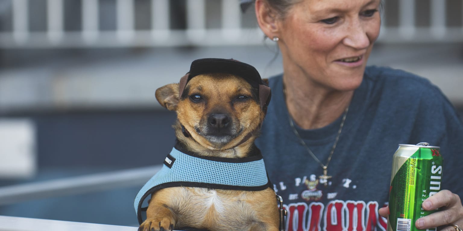 Chihuahuas and Whataburger team up for 7th straight year to give