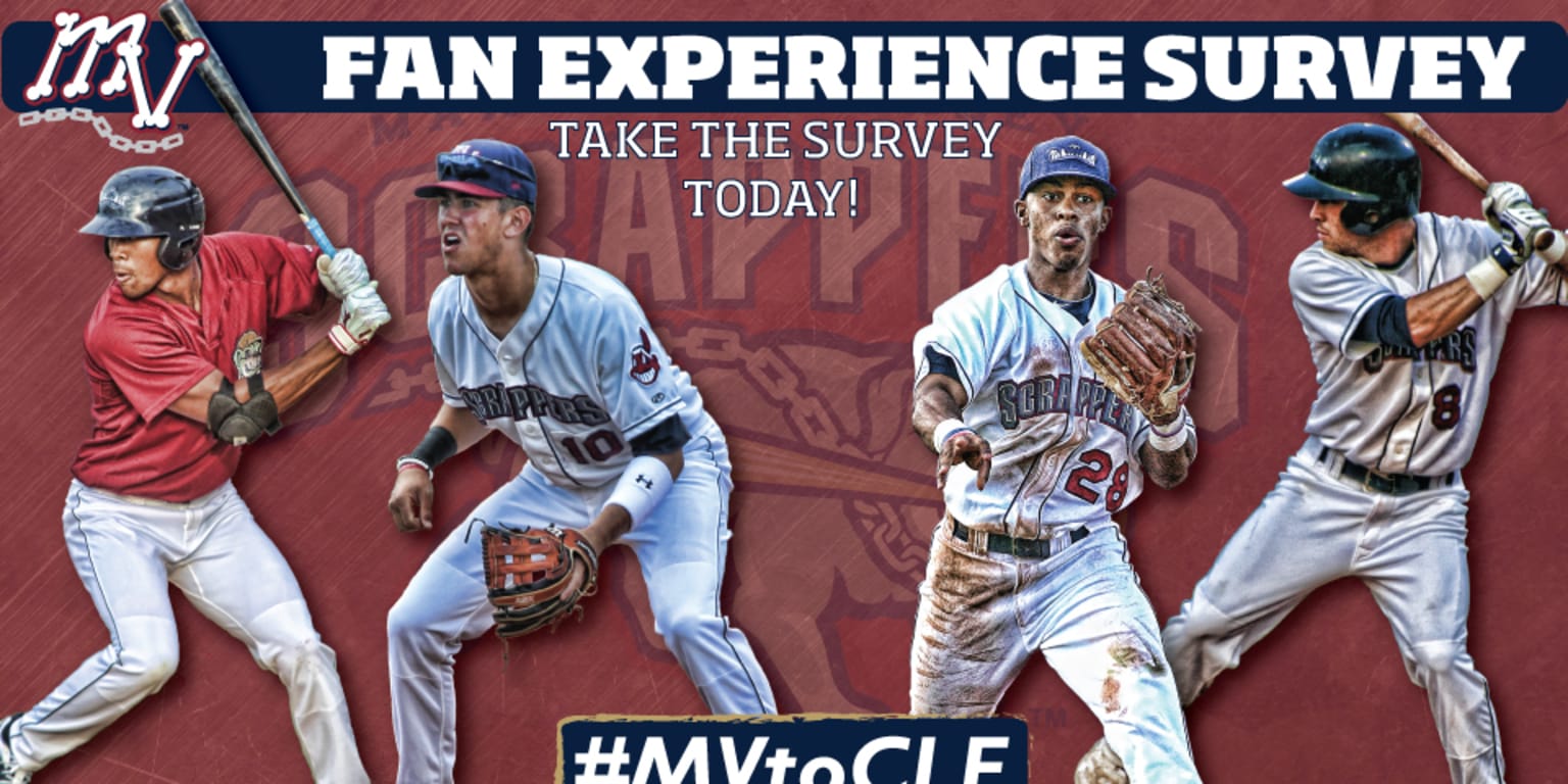 2017 Fan Experience Survey