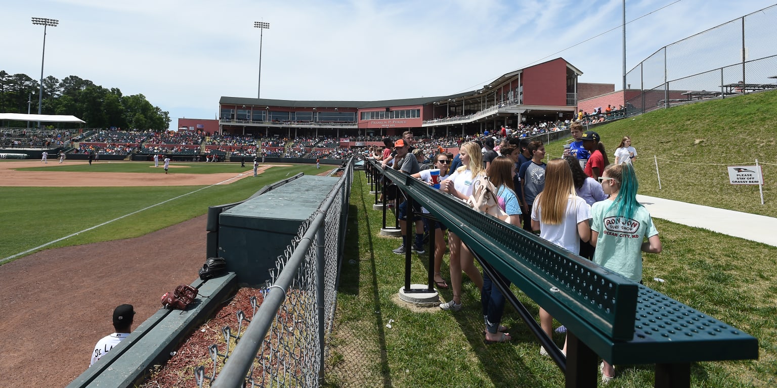 Former Oriole Brian Roberts set to visit Shorebirds on Saturday