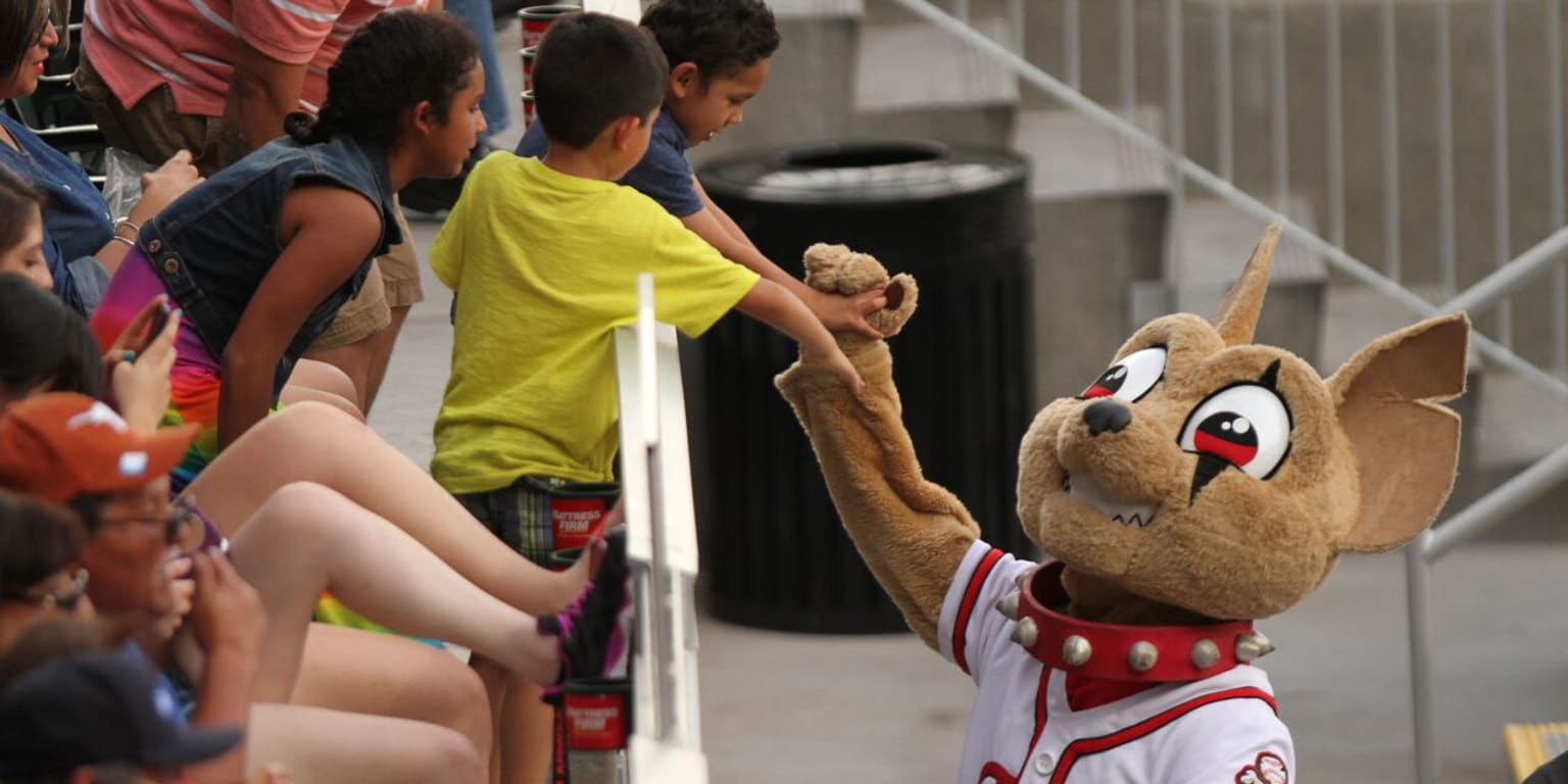 Chico - El Paso Chihuahuas - Olympus Mascots