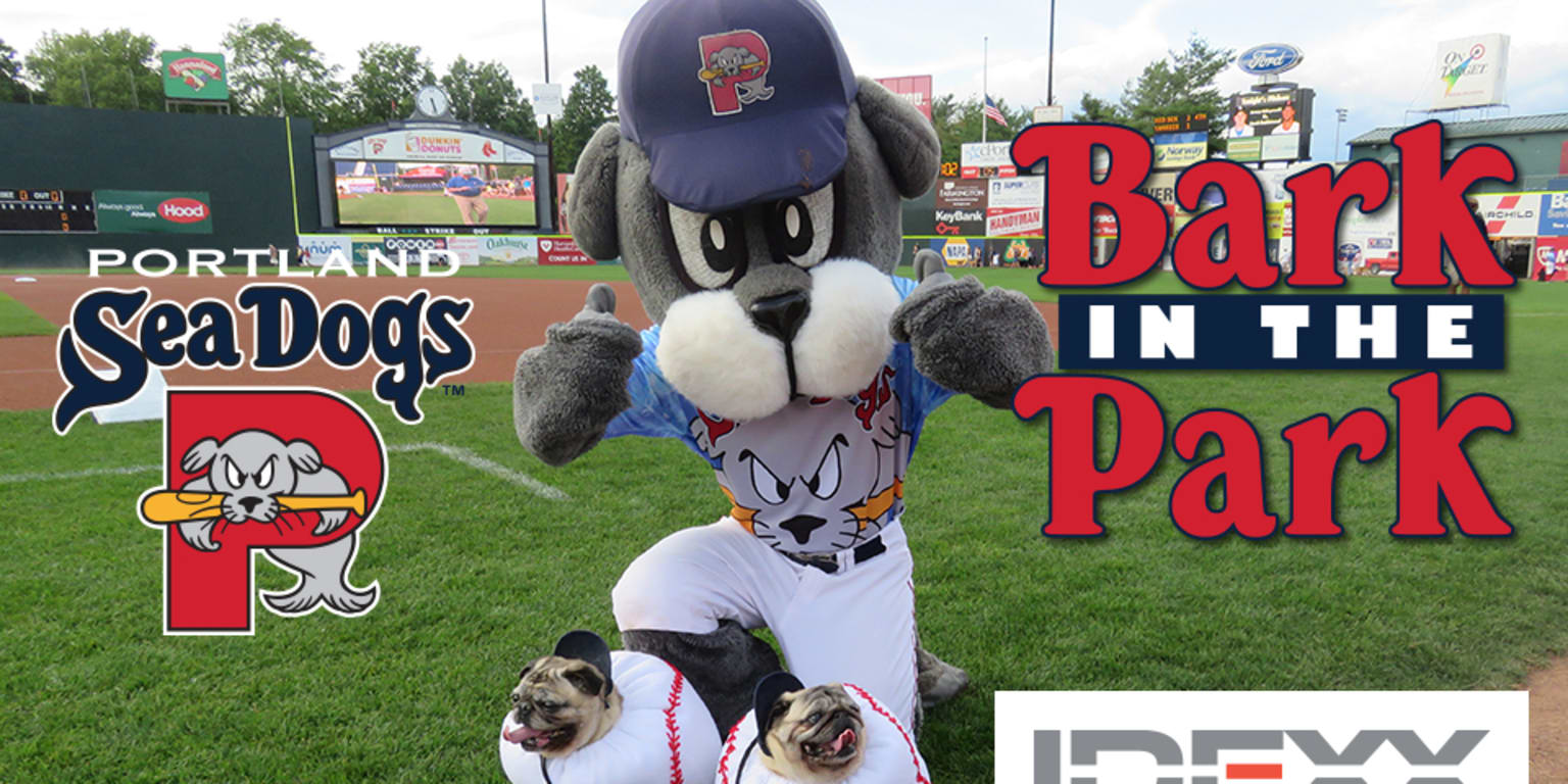 Bark in the Park - Dog Friendly Major League Baseball Games 2022