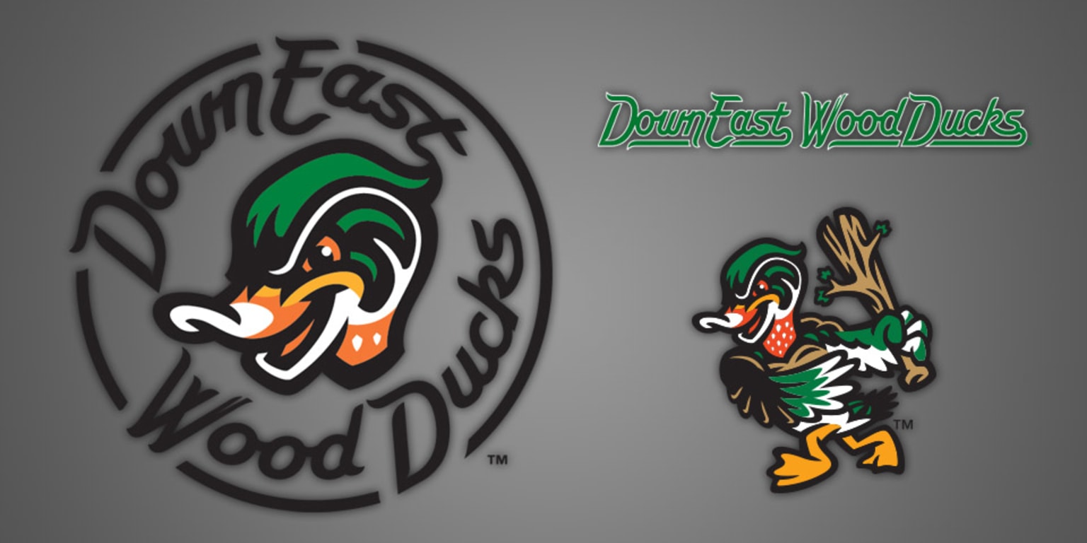 Wood Ducks' colorful look fits the bill
