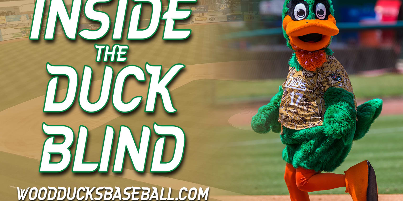 Inside the Duck Blind A Peek at the Prospects Wood Ducks
