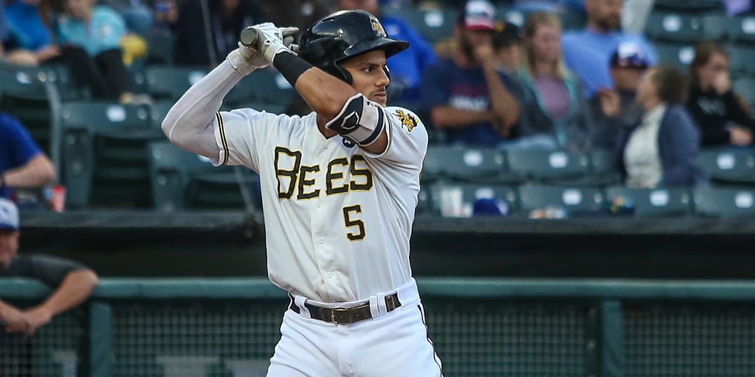 Bees outfielder and Angels prospect Michael Hermosillo hoping to