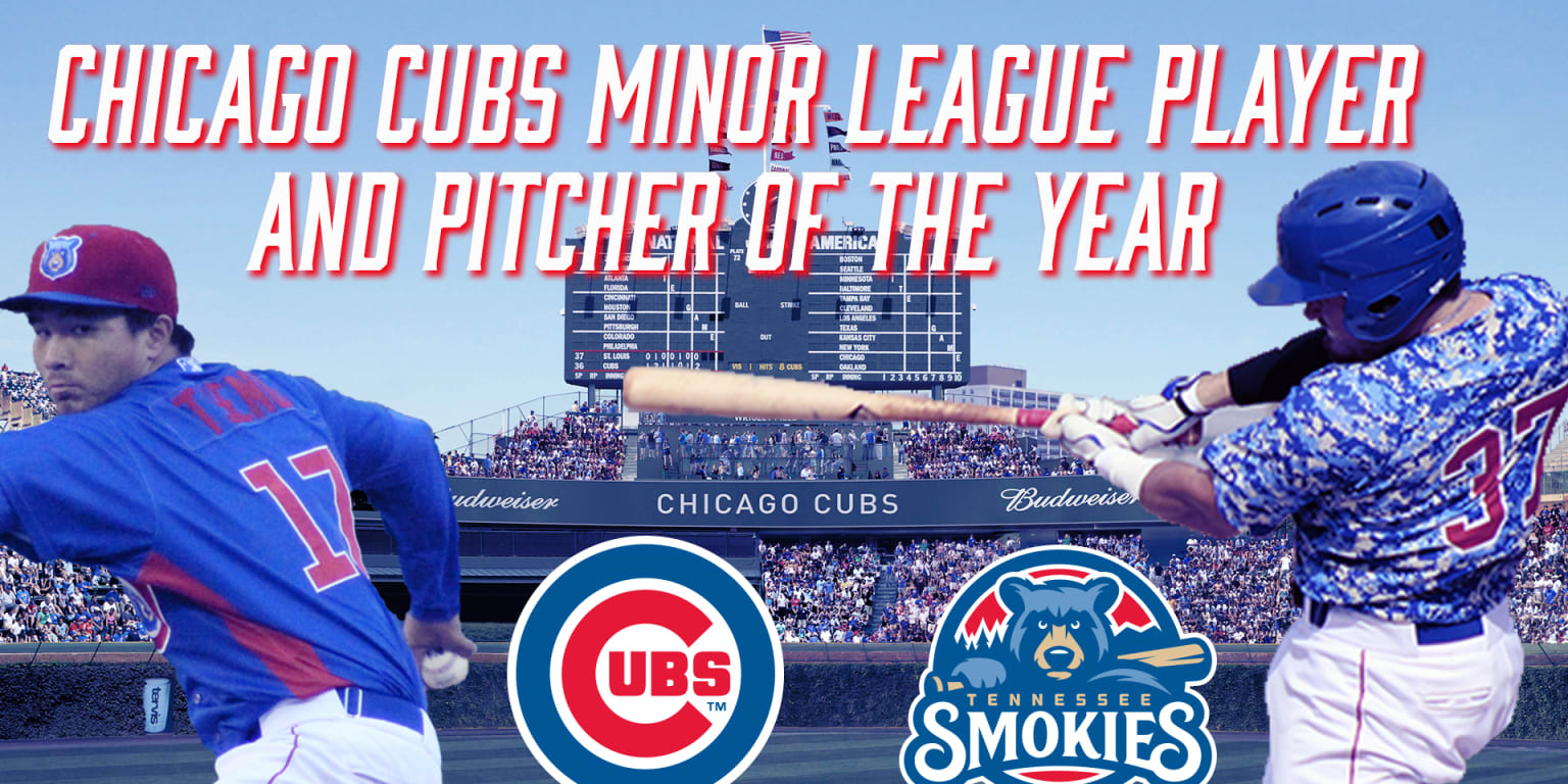 Cubs name Victor Caratini, Jen-Ho Tseng minor-league player, pitcher of the  year