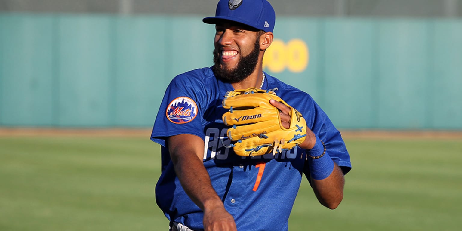 Amed Rosario Jersey From MLB and Mets Debut - Mets History