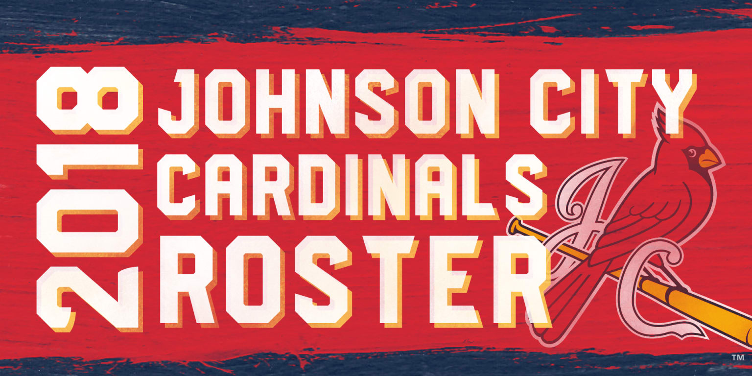 Breaking Down The Cardinals' Roster After 2018