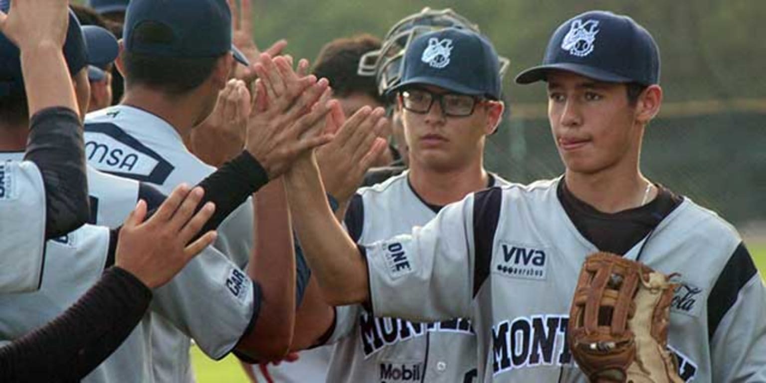 Actividad de la Liga Rookie 2017