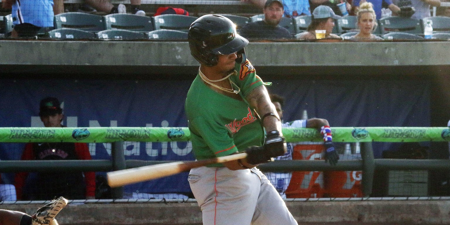 Wood Ducks Daniel Mateo homers three times - Vimarsana News