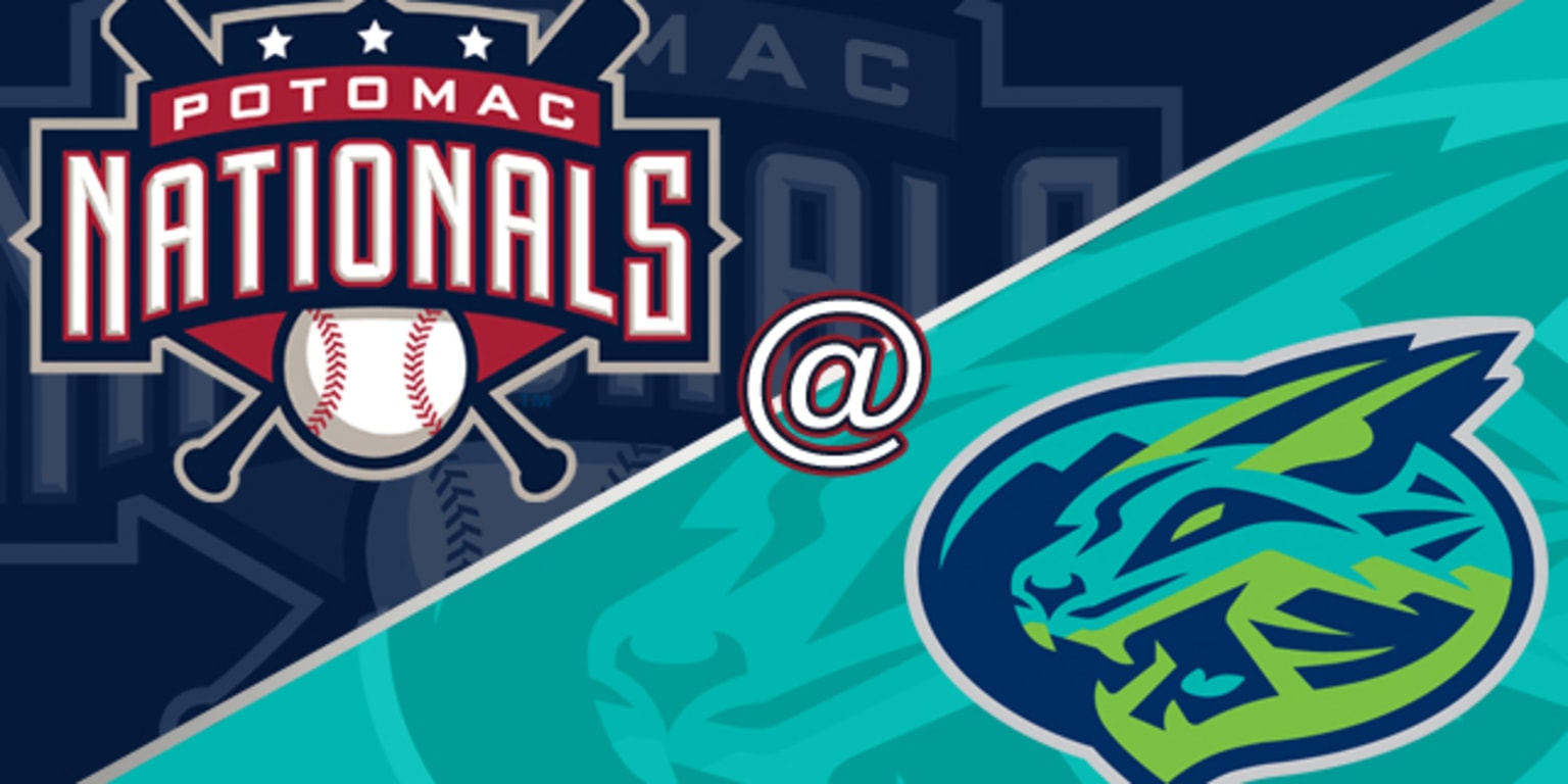 p-nats-fall-short-of-comeback-win-in-lynchburg-milb