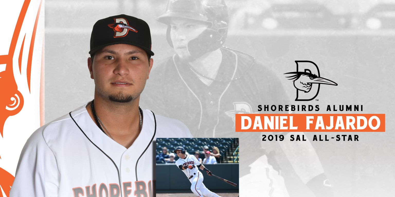 Delmarva Shorebirds Release 2019 Promotions Schedule – JUST ONE FAN'S  OPINIONS, THAT'S ALL